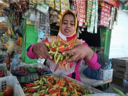 Harga Cabai Rawit di Pasar Gresik Tembus Rp 110 Ribu Per Kilo