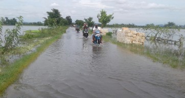 Jika Sudah Diasuransikan, Petani Tuban yang Gagal Panen Akibat Banjir Bisa Terima Ganti Rugi Rp 6 Juta/Hektar