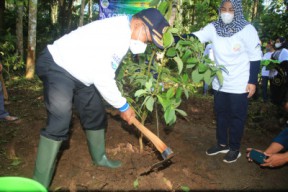 Ayo Jaga Sumber Mata Air, Wabup Banyuwangi Ajak Masyarakat Galakkan Tanam Pohon