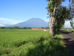 13 Desa di Lereng Gunung Lawu Ngawi Rawan Longsor
