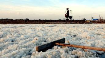 Stok Petani Masih Menumpuk, Rencana Impor 3 Juta Ton Garam Dinilai Buru-buru
