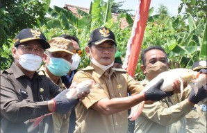Optimalkan Sektor Perikanan dan Kebangkitan UMKM, Bupati Lamongan Canangkan Kampung Budidaya Ikan Koi