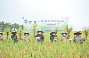 Apresiasi Produksi Beras Lamongan Melimpah, Bupati Yess Dorong Inovasi Pertanian