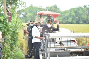 Ini Yang Dilakukan Pemkab Lamongan Guna Tingkatkan Kualitas Beras Petani