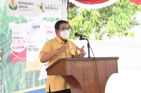Jaga Produktivitas Tanaman Tebu, Petrokimia Gresik Jalankan Program Agro Solution