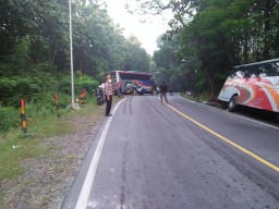 Bus Mira vs Bus Sumber Selamat, 5 Korban Luka-luka