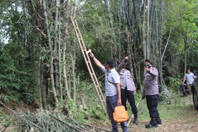 Bersihkan Pohon Bambu, Kakek di Magetan Tewas Tersengat Listrik