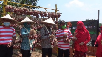 Kebun Bang Jani, Agro Edu Wisata di Bangkalan Cocok Jadi Tujuan Belajar Sambil Wisata