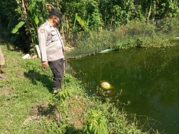 Tinggal Sebatang Kara, Nenek di Tulungagung Ditemukan Tewas Mengapung di Kolam Ikan