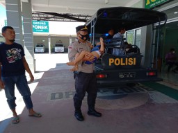 Sepeda Motor Vs Pajero, Ibu dan Anaknya Usia 3 Tahun Alami Patah Tulang