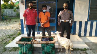 Bukanya Salat Jumat, Maling Ini Embat Kambing Ketahuan Dihajar Massa