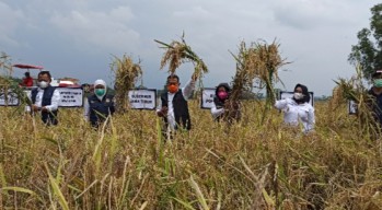 Optimalkan Serapan Hasil Panen Petani, Bupati Sugiri Rencanakan Ganti Tunjangan ASN dengan Beras