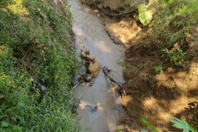 Geger Penemuan Mayat di Sungai Pengkol Kauman, Identitasnya Belum Diketahui