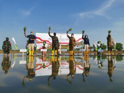 Petrokimia Gagas Program Demplot Dambaan Perkuat Ketahanan Pangan di Kabupaten Gresik