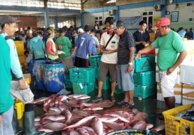 Hasil Tangkapan Nelayan Turun, Harga Ikan Laut di TPI Brondong Lamongan Naik