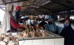 Jelang Ramadhan, Harga Daging Ayam di Sidoarjo Rp 40 Ribu Lebih