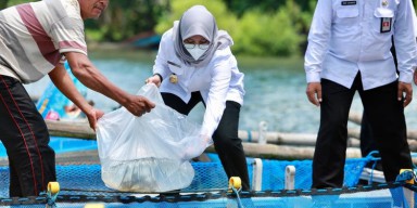 Ngantor di Desa Nelayan, Bupati Ipuk optimalkan potensi wisata Bahari di Grajagan