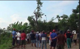 Warga Mojokerto Nyawanya Tercabut di Atas Pohon Pete