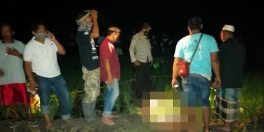 Lagi-Lagi Petani Ngawi Tewas Karena Jebakan Strum Tikus