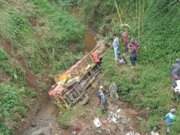 Truk Terjun ke Jurang Bromo, Sopir Dievakuasi ke Rumah Sakit