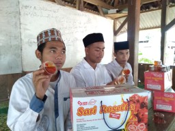 Manfaatkan Tanaman Bunga Rosela, Para Santri di Gresik Hasilkan Minuman Siap Saji