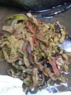 Ada Potongan Besi dan Kerikil di Perut, Sapi dan Kambing di Tulungagung Mati Misterius Diduga Kena Santet