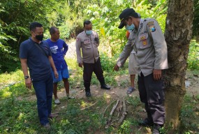 Warga Kalangbret Kauman Ditemukan Mati di Atas Tumpukan Kayu