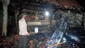 Kandang Sapi di Sampang Terbakar, Kerugian Hingga Rp 50 Juta