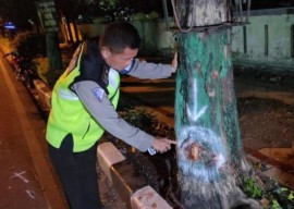 Naik Ninja, Pemuda Tuban Tewas Setelah Tabrak Pohon