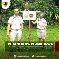 Jaga Ekosistem, PT Smelting Dukung Rehabilitasi Dan Konservasi Populasi Elang Jawa