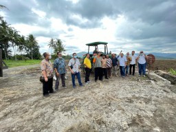 Sinergi PTPN XI Dan PTPN XII Kembangkan Tebu PG Jolondoro Jember