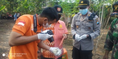 Warga Tulungagung Meninggal Dunia Setelah Makan Umbi dari Menantu