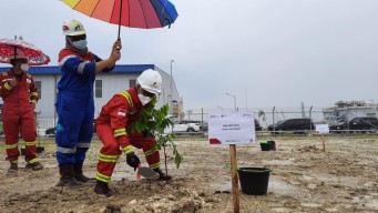 SKK Migas Galakkan Penanaman Pohon untuk Tekan Emisi