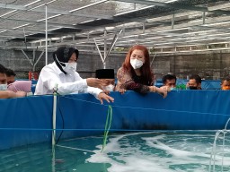 Ke Ponorogo, Mensos Risma Minta TKSK Lebih Aktif Data Disabiltas