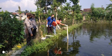 Balita 2,5 Tahun di Tulunggaung Tenggelam di Kolam Ikan Nila