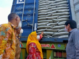 Gresik Ekspor 1.000 Ton Kacang Hijau ke Filipina