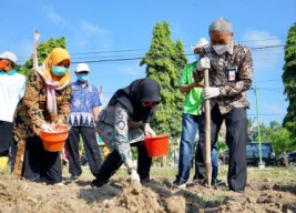 Petani Banyuwangi Digelontor Bantuan 582 Ton Benih Berkualitas