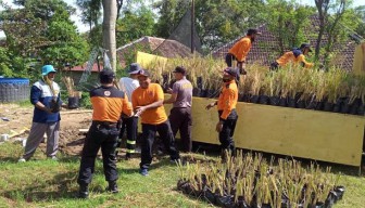 10.000 Bibit Akar Wangi Ditanam Perum Jasa Tirta dan BPBD Madiun di Lereng Gunung Wilis