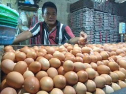 Hingga Mei 2021, Inflasi Votalite Food Kota Malang Meningkat