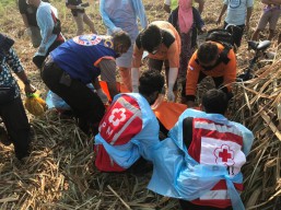 Lansia Pencari Daun Kering Tewas di Tengah Kebun Tebu Trowulan