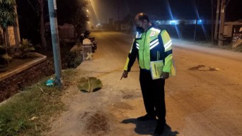 Tergelincir Pasir Jalan Hingga Tabrak Tiang PJU, Warga Mojokerto Tewas
