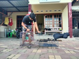 Ada-ada Saja, Komunitas Pemuda di Tulungagung Buka Penitipan Hewan Milik Warga Isoman