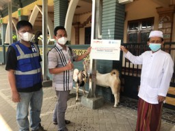 Program MPM Honda Jatim Berbagi, Distribusikan Hewan Kurban dan untuk Warga