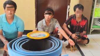 Arena Sabung Ayam Kenjeran Digrebek, Belasan Penjudi Kocar-Kacir   