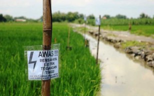 Pasang Jebakan Tikus, Lha Kok Kakinya Nginjak Kabel, Warga Jombang Ini Akhirnya Dikubur