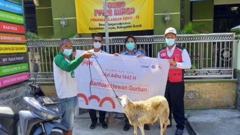 JIIPE Salurkan Hewan Kurban 3 Ekor Sapi dan 18 Ekor Kambing