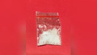 Pengedar Narkoba Situbondo Tertangkap dengan Barang Bukti 4,41 Gram SS