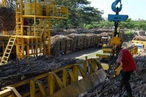 Dua Pabrik Gula Milik PTPN XI Raih Kinerja Terbaik