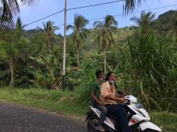 Dinas Pertanahan Gresik Dituding Setengah Hati Soal Pembebasan Lahan TPST di Bawean