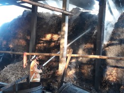 Pabrik Gilingan Tebu di Tulungagung Terbakar, Kerugian Capai Rp 15 juta